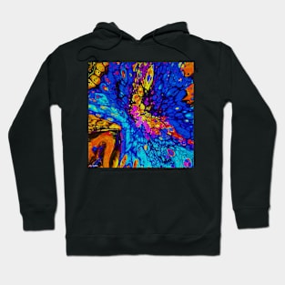 Stocksom Dyas Hoodie